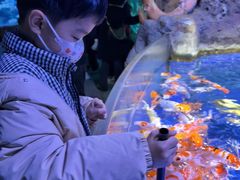 -左海海底世界