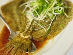 -顺峰(农展馆店)