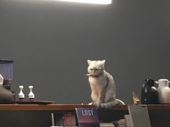 -研途咖啡馆(健康路店)