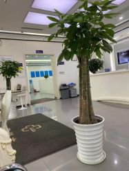 -痘博士昆明·国际祛痘领跑品牌