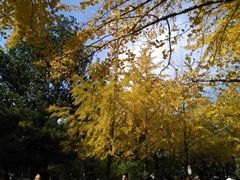 -辽宁大学(崇山校区)