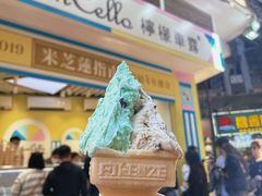 -柠檬车露(卖草地店)