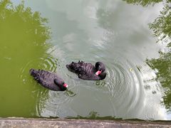 -珠海圆明新园