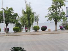 -野菌皇海景野生菌火锅(滨海大道店)