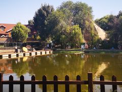 -酷鱼垂钓CLUB(朝阳区博大路店 )