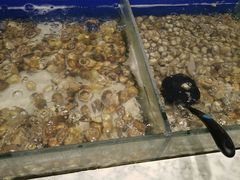 -火锅岛潮牌自助餐厅(天津天佑城店)