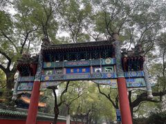 -清真-戏楼王记牛肉面