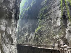 -武陵山森林公园