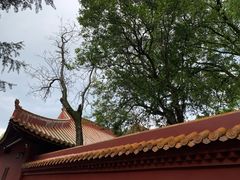 -南岳衡山风景名胜区-南岳大庙