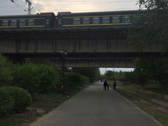 -永定河休闲森林公园