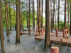 -东湖落雁景区