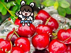 -CoCo都可(西宸天街店)