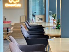 -Dinoo 片场咖啡(酒仙桥店)