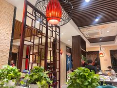 -新侨小馆(东直门北小街店)