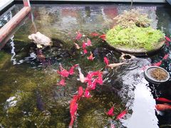 -野蔓果·山野菜(西湖景区·龙井茶田店)