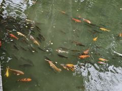 -柳侯公园