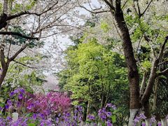 -白塘生态植物园