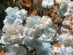 -L.C FLORA花予你(城西银泰城店)