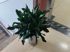 -赫尔森口腔·牙齿种植修复