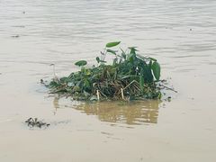 -白天鹅宾馆·流浮阁咖啡厅