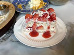 -O'eat Blossom&Pelican(深圳首店)