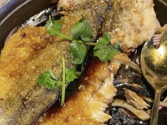 -九毛九西北菜(百信广场店)
