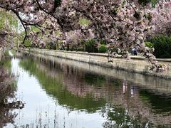 -海棠花溪(元大都城垣遗址公园)