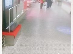 -科巷菜场