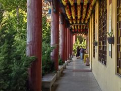 -正觉寺
