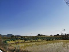 -光明小镇欢乐田园