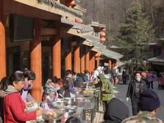 -栾川竹海野生动物园