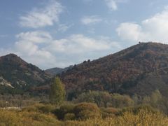 -塞罕坝国家级自然保护区