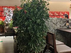 -杏花村水席楼·洛阳水席(老城十字街店)