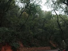 -岳麓山风景名胜区