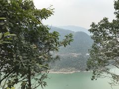 -铁山坪森林公园