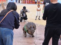 -世界恐龙谷景区