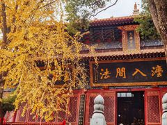 -宝通禅寺