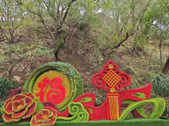 -金鸡山公园