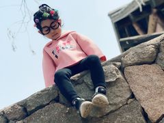 -杨柳青庄园