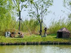 -泗洪洪泽湖湿地景区