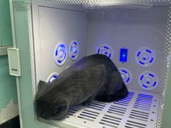 -宠伴小精灵宠物店(鼓楼店)