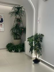 点击看大图 -紫琪尔胸部养护中心