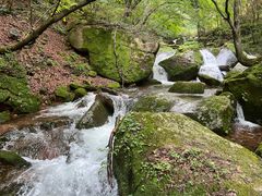 -五女峰国家森林公园