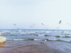 -老虎石海上公园