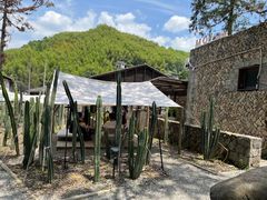 -MOJ coffee(瓯海泽雅水碓坑店)