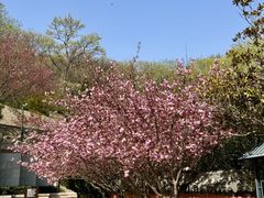 -石岛赤山风景区