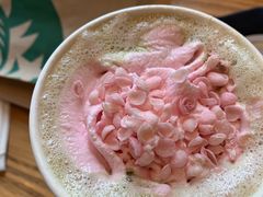 -星巴克(花木plus乐坊店)