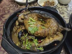 鲶鱼-友利砂锅居(烟台店)