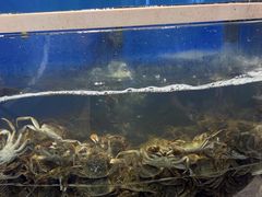 -海天盛宴新派海鲜自助餐厅(群力店)