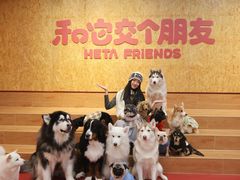 -和它·交个朋友·狗咖猫咖(爱琴海店)